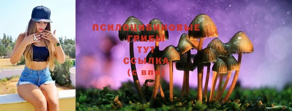 таблы Белоозёрский