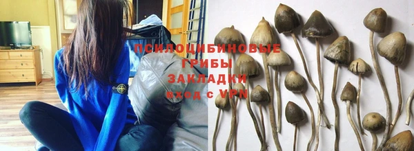 дурь Баксан